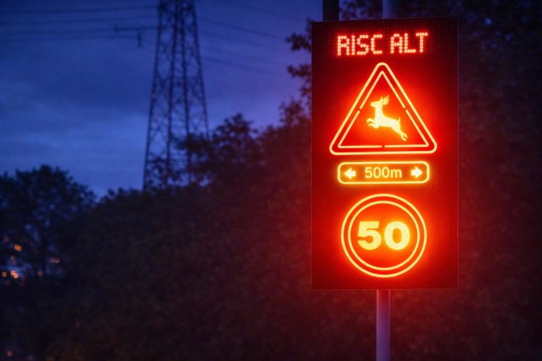 Tecnología al servicio del ecosistema: IA en la vía para proteger la fauna