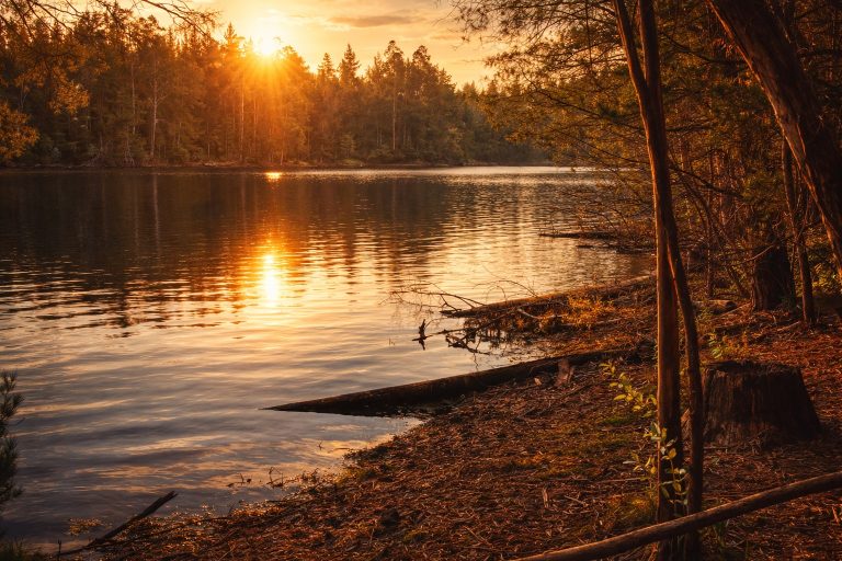 Emergencia en el Tranque La Luz: El peso de la basura sobre una reserva hídrica